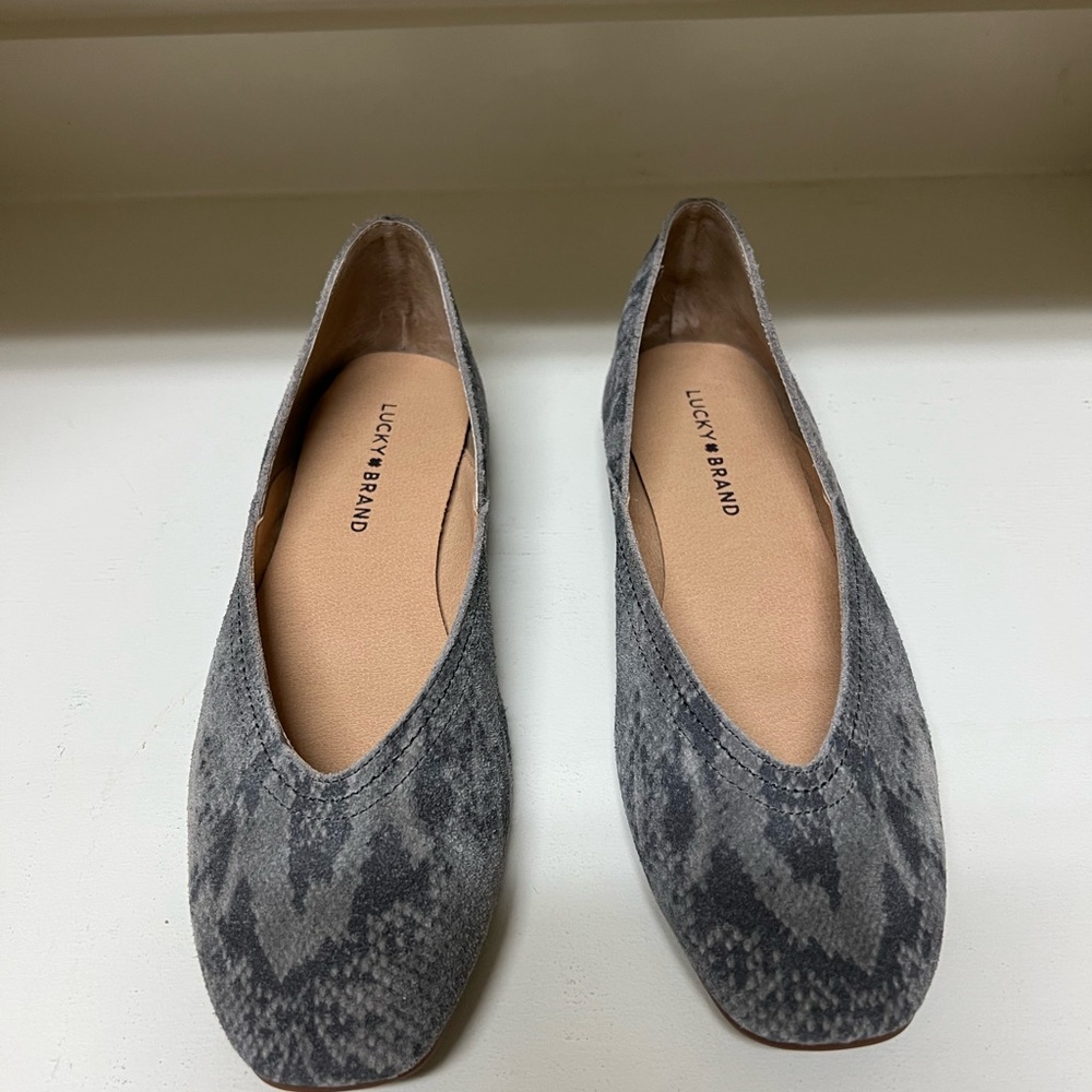 Alba Suede Ballet Flat